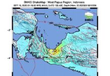 Guncangan Kuat Gempa Magnitudo 6,6 Nabire
