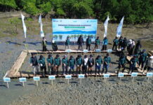 Pelindo Regional 4 Kick Off Rehabilitasi Mangrove di Bone