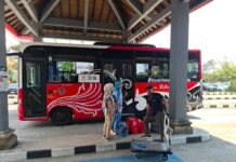 Mengenal Trans Metro Dewata: Bus Modern Teman Andal di Pulau Dewata
