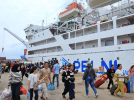 Pelni Siapkan Peremajaan Armada dengan Enam Kapal Pengganti hingga Tahun 2030