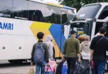 Angkutan DAMRI Promo Perjalanan Ke Yogyakarta dan Denpasar