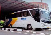 Ini Cara Naik DAMRI dari Bandara Soekarno-Hatta
