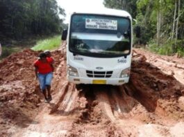 Menghapus Isolasi, Menghubungkan Harapan: Urgensi Angkutan Perintis di Kawasan Transmigrasi