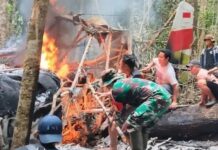 Pelita Ungkap Kronologi Pesawat Carter Jatuh Sebabkan Pilot Meninggal