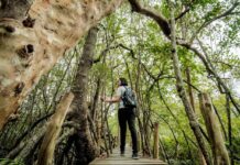 Pariwisata Berkelanjutan Jadi Fondasi Daya Saing Global