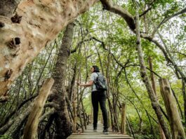 Pariwisata Berkelanjutan Jadi Fondasi Daya Saing Global