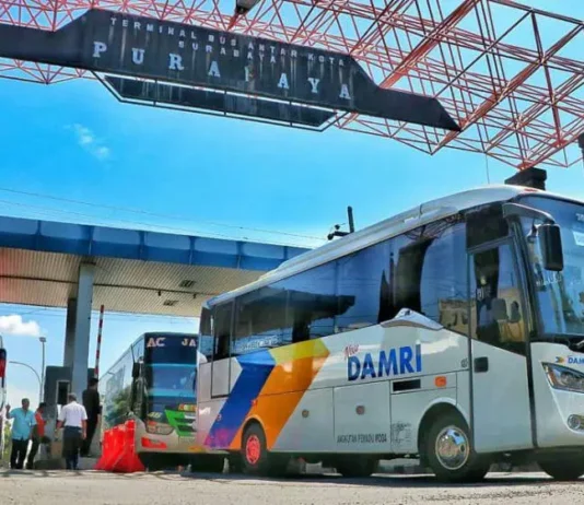 Harga Tiket Angkutan Bus DAMRI Malang – Surabaya Mulai Rp280.000