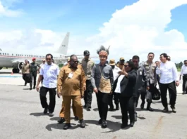 Wapres Tinjau Pengembangan Bandara Nabire untuk Konektivitas Papua Tengah