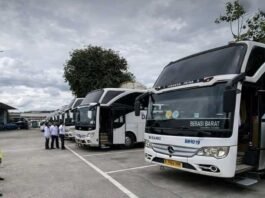 DAMRI Jadi Rujukan Pengembangan Bus Listrik