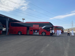 Ribuan Bus Haji Indonesia Siaga di Madinah