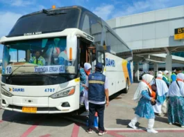 DAMRI Dukung Kelancaran Penyelenggaraan Haji 2026