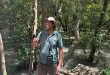 Keberlanjutan Ekosistem Pesisir dan Manfaat Dekarbonisasi di Pelabuhan Tanjung Perak