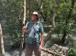 Keberlanjutan Ekosistem Pesisir dan Manfaat Dekarbonisasi di Pelabuhan Tanjung Perak