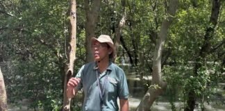 Keberlanjutan Ekosistem Pesisir dan Manfaat Dekarbonisasi di Pelabuhan Tanjung Perak