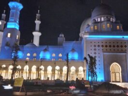 Solo Jadi Kota Paling Maju di Indonesia