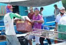 KKP Siap Rekrut Puluhan Ribu Awak Kapal untuk Program Modernisasi Kapal Perikanan