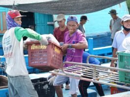 KKP Siap Rekrut Puluhan Ribu Awak Kapal untuk Program Modernisasi Kapal Perikanan