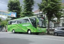 Tips Cerdas Sewa Bus Wisata Sekolah: Liburan Seru, Rombongan Aman dan Tenang