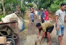 Paradoks Jalan Swadaya dan Ancaman Sistem Transportasi Nasional