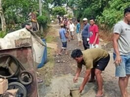 Paradoks Jalan Swadaya dan Ancaman Sistem Transportasi Nasional