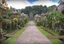 DAMRI Antar Wisatawan dari Kota Denpasar ke Desa Wisata Penglipuran Mulai Rp5.000