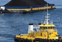 Pelni Angkut Lebih dari 335.000 Ton Batubara pada Semester I/2026