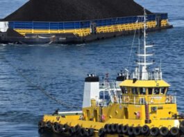 Pelni Angkut Lebih dari 335.000 Ton Batubara pada Semester I/2026