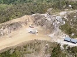 Insiden Pesawat Perintis PK-RCY di Lapangan Terbang Balinggama Papua Pegunungan