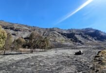 Koordinasi Kemenpar Terkait Kebakaran di Kawasan Bromo