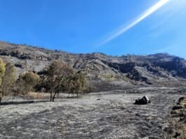 Koordinasi Kemenpar Terkait Kebakaran di Kawasan Bromo