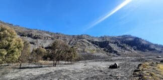 Koordinasi Kemenpar Terkait Kebakaran di Kawasan Bromo