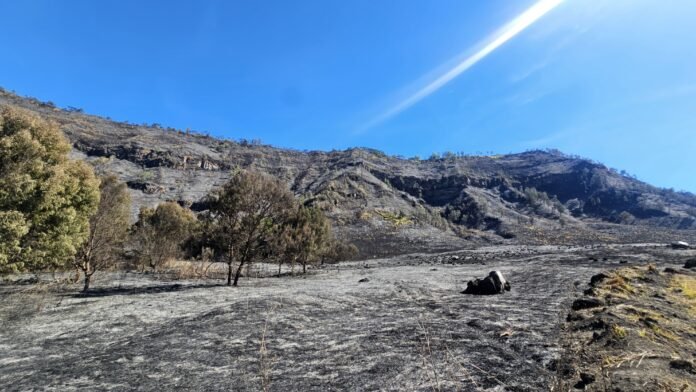 FOTO 13 Agustus_Kawasan destinasi wisata Taman Nasional Bromo Tengger Semeru yang terbakar. dok. kemenpar