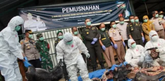 Barantin Gagalkan Pengiriman 3 Ton Daging Babi Hutan dan 600 Kg Labi-labi Tanpa Dokumen di Pelabuhan Merak