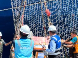 Pelni Bebaskan Biaya Kirim Logistik Bantuan Korban Gempa NTT