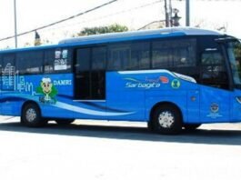 Dishub Bali Uji Coba 11 Bus Listrik Trans Sarbagita Oktober 2026