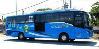 Dishub Bali Uji Coba 11 Bus Listrik Trans Sarbagita Oktober 2026
