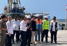 Pelindo Pastikan Operasional Pelabuhan Maumere Tetap Berjalan Pascagempa NTT