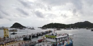 ASDP Perkuat Keselamatan Kapal dan Pelabuhan Pascagempa NTT