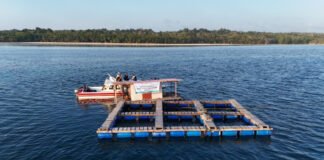 Pelni Kembangkan Ekosistem Bisnis Kelautan dan Wisata Masyarakat Adat