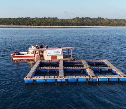 Pelni Kembangkan Ekosistem Bisnis Kelautan dan Wisata Masyarakat Adat