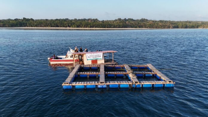FOTO 28 Sept_Pengembangan ekosistem bisnis kelautan dan wisata masyarakat hukum adat di Pulau Kapota, Kec Wangi-Wangi, Kab Wakatobi, Sulawesi Tenggara pelni