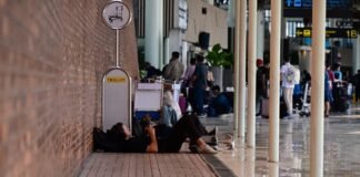 Potensi Bandara Soekarno-Hatta Kehilangan Pendapatan Miliaran Rupiah Pascaerupsi Gunung Anak Krakatau