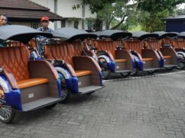 Kemendes Usulkan Percontohan Transportasi Desa Berbasis Listrik